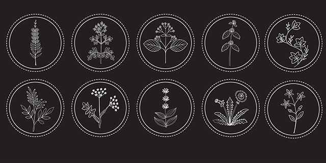 Comparative Materia Medica for the Bitter Herbs