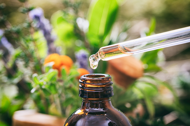 Bitter Herbs and Mucosal Immunity: The Role of Taste Receptors in the Airway