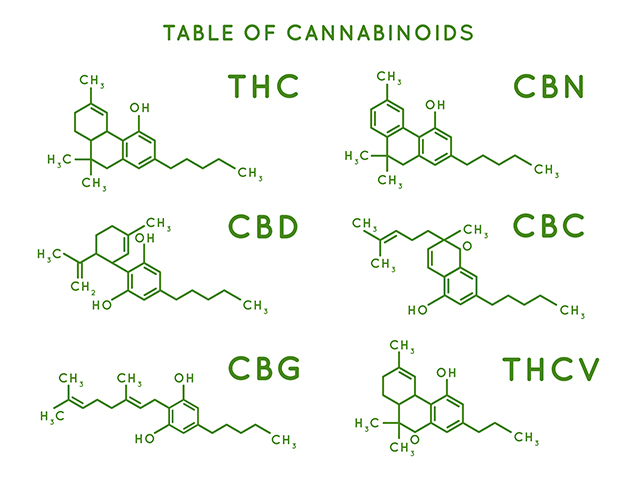 Cannabinoids as Mediators of GI Function