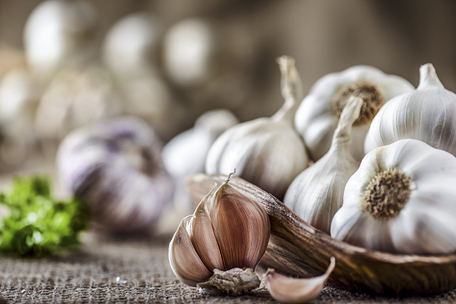Gastrointestinal Infections: Considerations and Treatment
