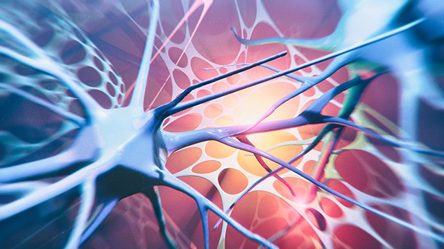 Autoimmunity Essentials: A Mechanistic Overview