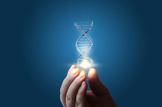 Do Genetics Really Matter? A Case Study