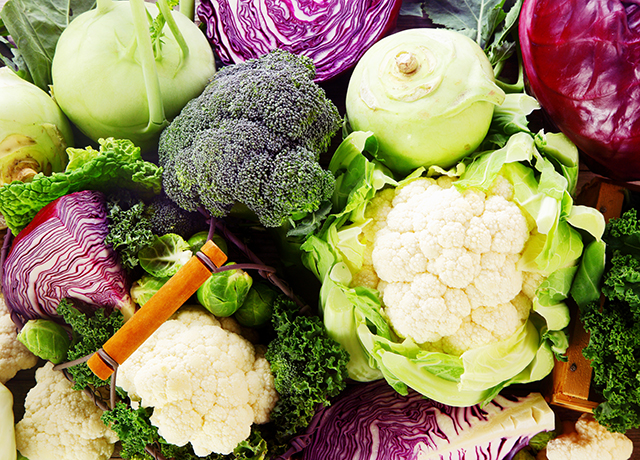 Diet & Cancer Prevention: from Cells to Clinic