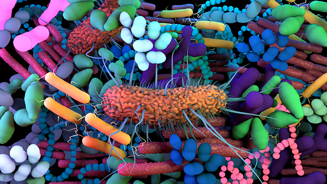 Microbiome-Immune Interactions in Autoimmune Disease: Current Understanding & Therapeutic Implications