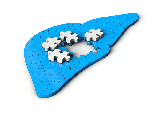Gut-Liver Axis and Its Impact on Chronic Liver Disease
