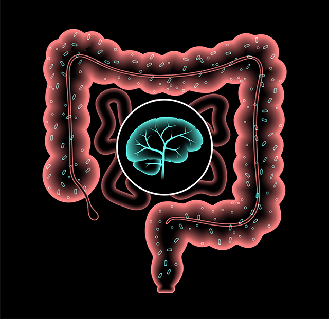 Gut-Brain Axis
